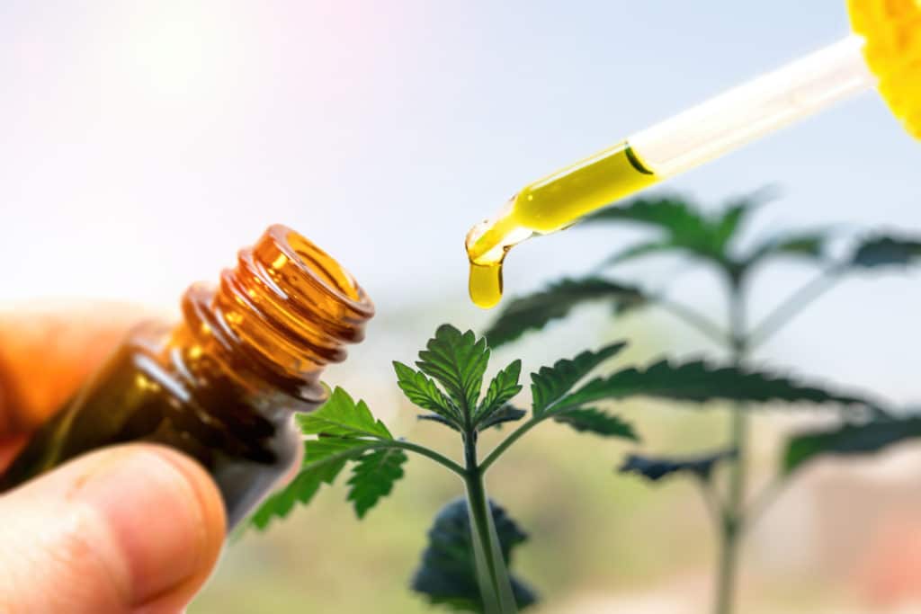 Can CBD Expire?