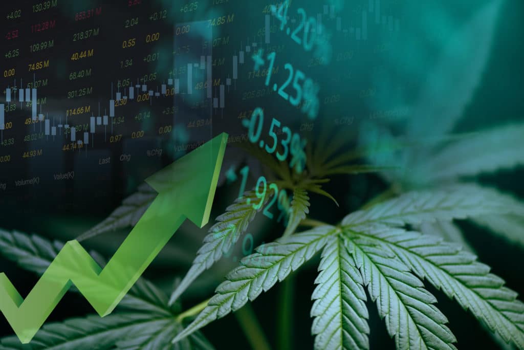 How Profitable is CBD