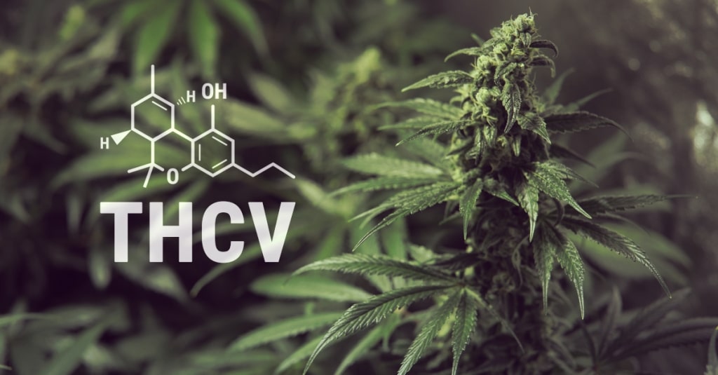Tetrahydrocannabivarin Thcv